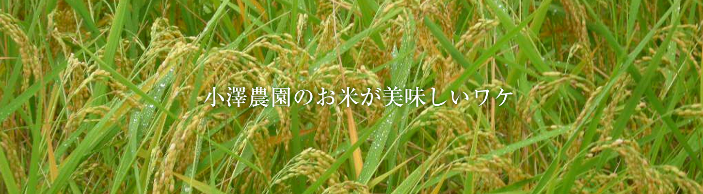 小澤農園のお米が美味しいワケ